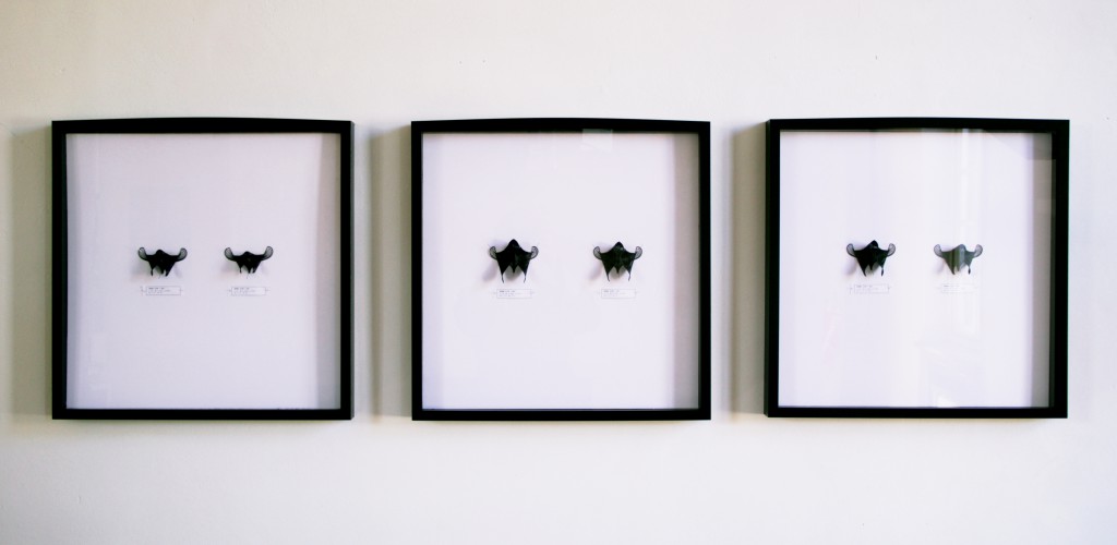 Lia's filament structures, courtesy of Lia, on display in Casa Jasmina.