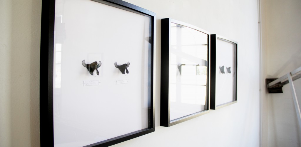 Lia's filament structures, courtesy of Lia, on display in Casa Jasmina.